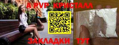 стаф Кингисепп