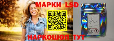 стаф Кингисепп