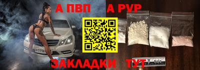 стаф Кингисепп