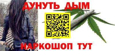 стаф Кингисепп
