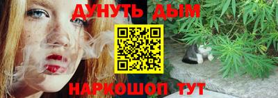 стаф Кингисепп