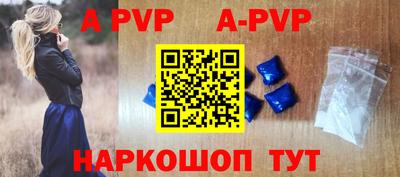 стаф Кингисепп