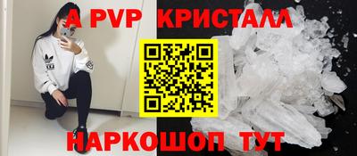 стаф Кингисепп