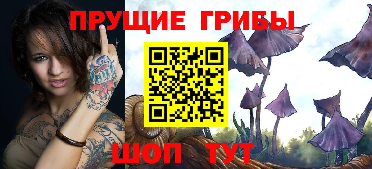 Псилоцибиновые грибы мухоморы  как найти закладки  Миллерово  Вход с VPN 