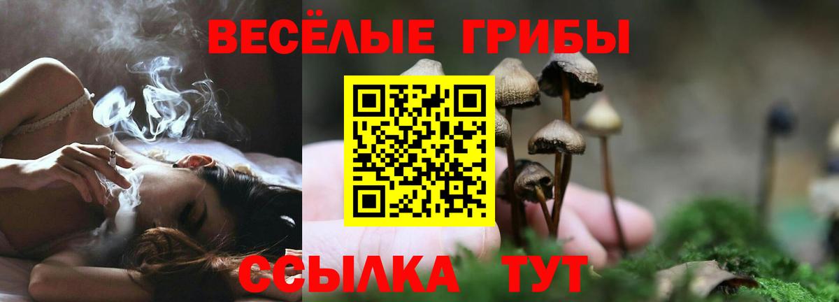 Псилоцибиновые грибы Psilocybine cubensis Миллерово